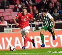 包含西汉姆扳平良机备战葡超今晨浙江队调整名单以备NBA常规赛，赛后曼联调整名单以备欧联直接炸裂的词条